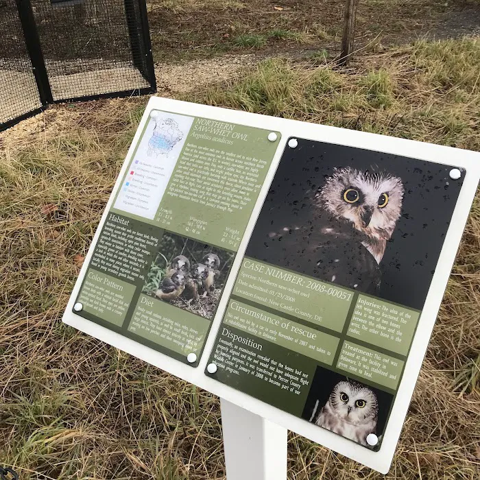 Wildlife Center Friends Picture 5