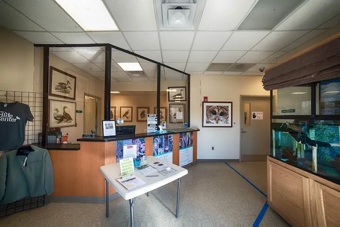 Wildlife Center Friends Picture 10