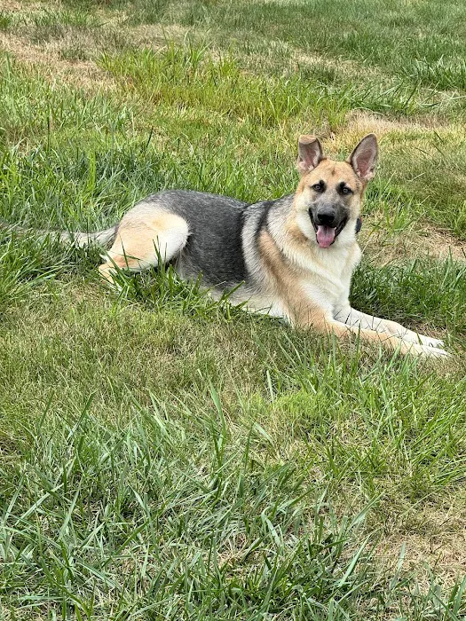 Washington Animal Hospital Picture 3