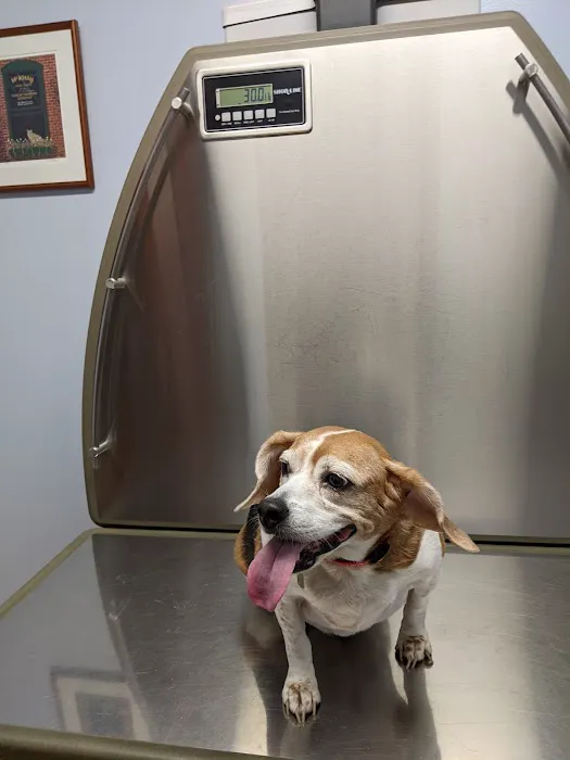 Washington Animal Hospital Picture 2