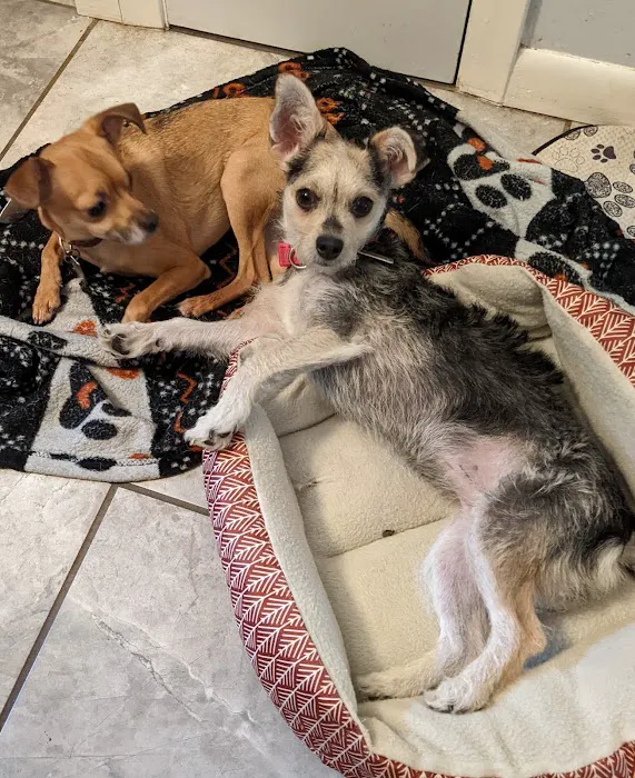 Washington Animal Hospital Picture 5