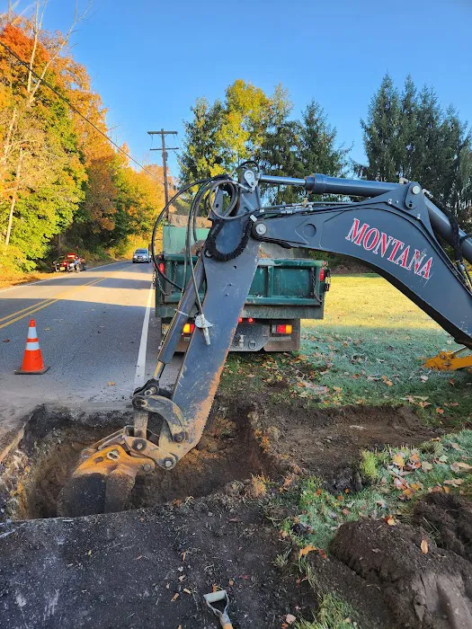 Washington Animal Hospital Picture 9