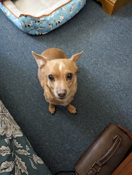 Washington Animal Hospital Picture 8