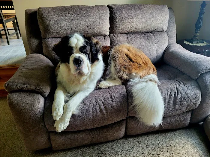 Washington Animal Hospital Picture 7