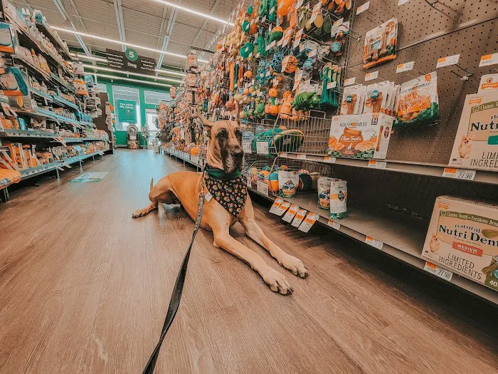Pet Supplies Plus Zephyrhills Picture 3