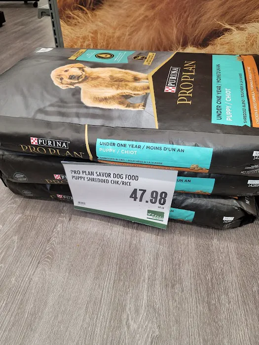 Pet Supplies Plus Zephyrhills Picture 9