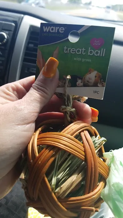 Pet Supplies Plus Zephyrhills Picture 10