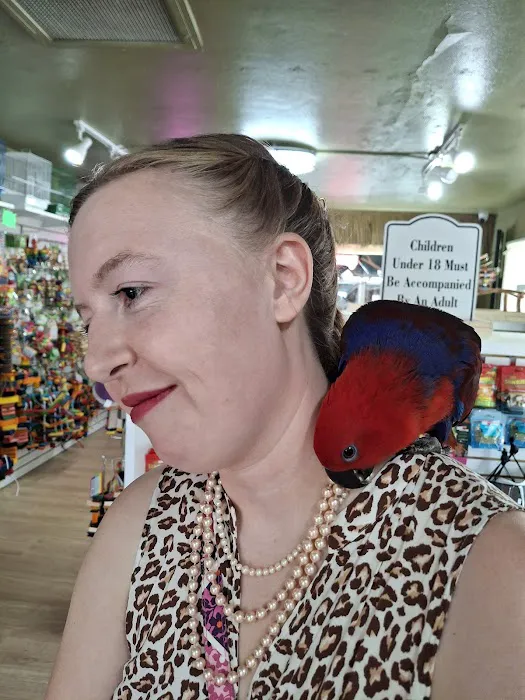 Just winging it zhills Picture 9