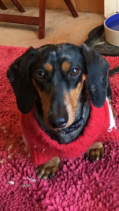 Pleasant Valley Veterinary Services Picture 3