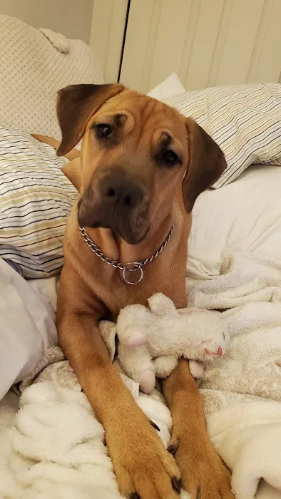 Animal Health Center Picture 2