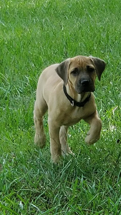 Animal Health Center Picture 3