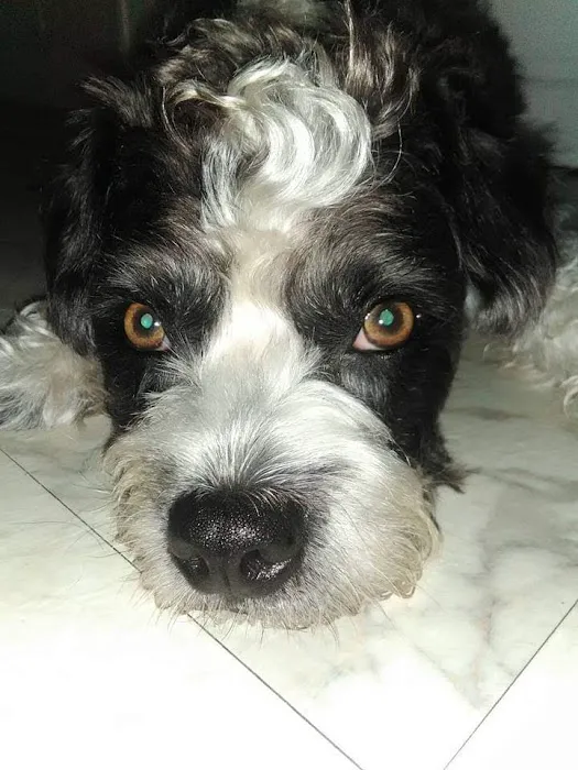 Animal Health Center Picture 4