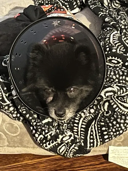 Animal Health Center Picture 5