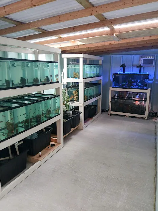 Mike Dudley Clownfish Picture 3