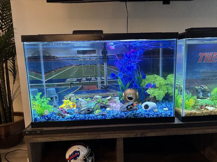 Mike Dudley Clownfish Picture 5