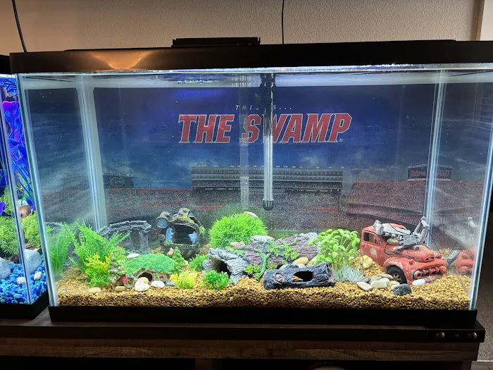 Mike Dudley Clownfish Picture 8