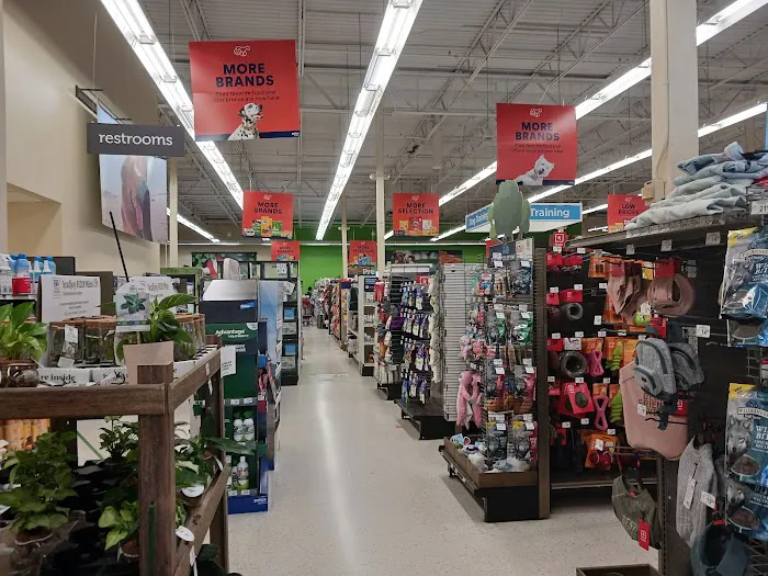 Petco Picture 1