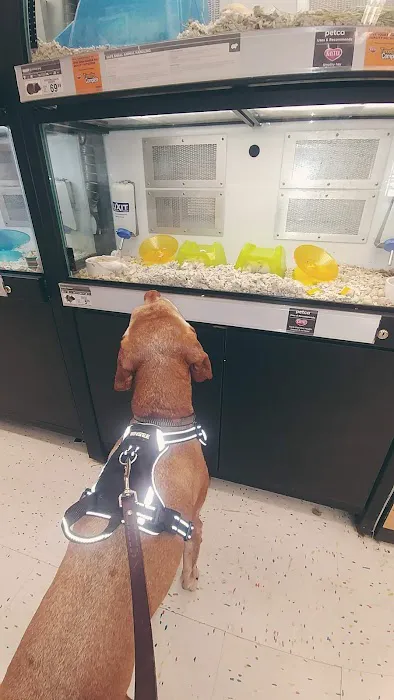 Petco Picture 7