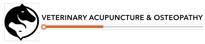 Veterinary Acupunture Picture 1