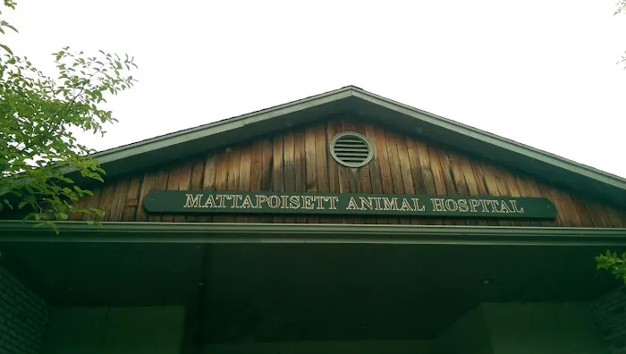 Dr Jill O'Brien Picture 1