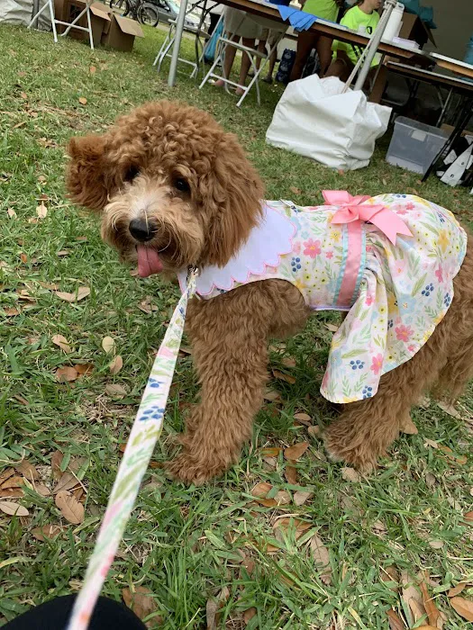 Boujee Pet Boutique Picture 1