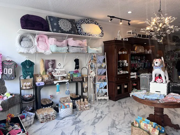 Boujee Pet Boutique Picture 3