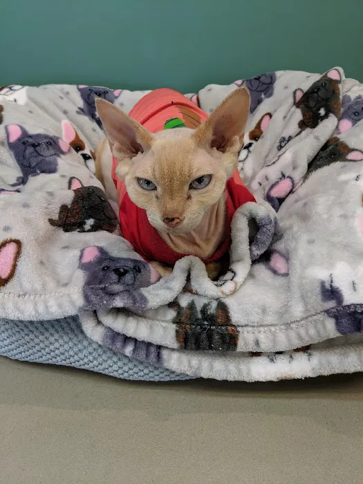 Mattapoisett Animal Hospital Picture 2