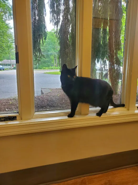 Mattapoisett Animal Hospital Picture 3