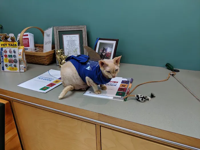 Mattapoisett Animal Hospital Picture 1