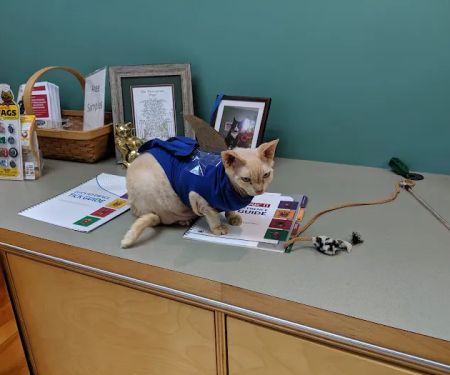 Mattapoisett Animal Hospital