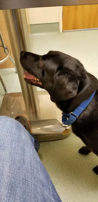 Mattapoisett Animal Hospital Picture 6