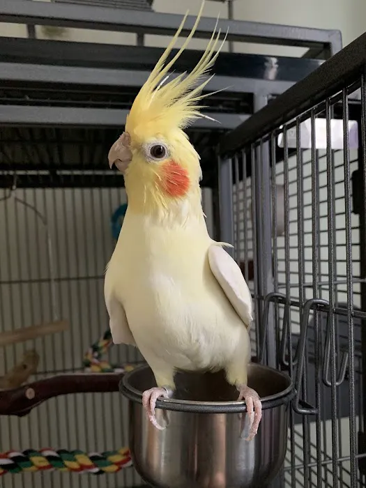 Mattapoisett Animal Hospital Picture 7