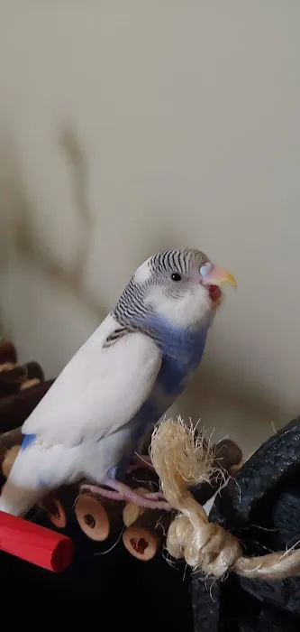 Mattapoisett Animal Hospital Picture 8