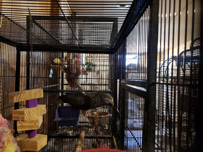 Birds of Paradise Sanctuary & Rescue Picture 2