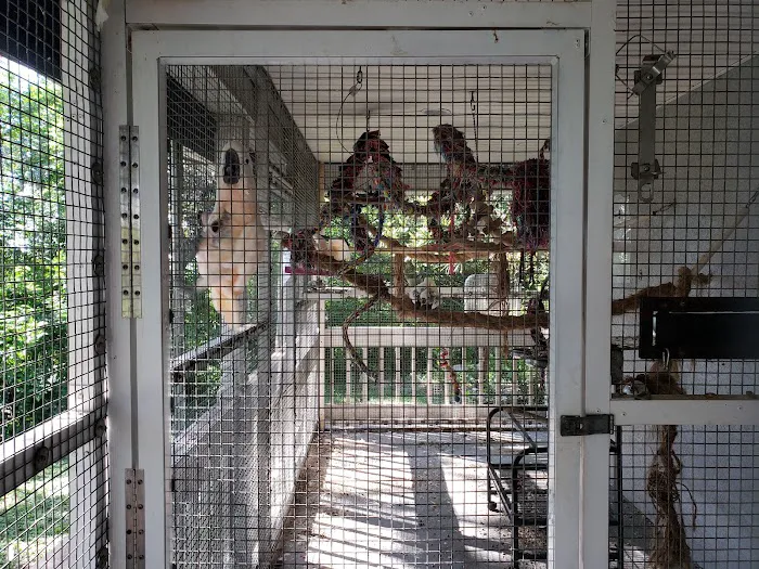 Birds of Paradise Sanctuary & Rescue Picture 1