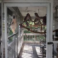 Birds of Paradise Sanctuary & Rescue ico