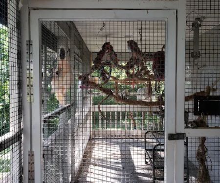 Birds of Paradise Sanctuary & Rescue