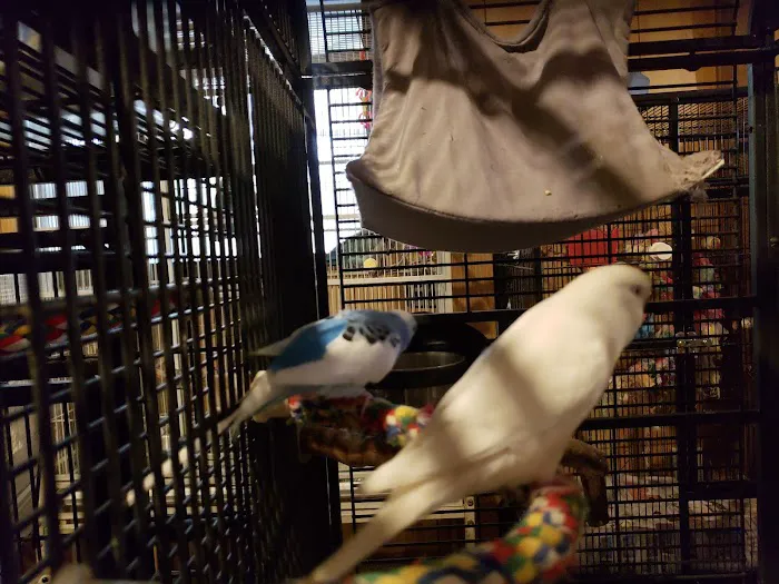 Birds of Paradise Sanctuary & Rescue Picture 6