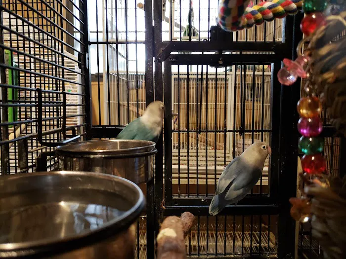 Birds of Paradise Sanctuary & Rescue Picture 5