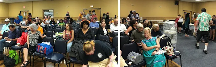 Birds of Paradise Sanctuary & Rescue Picture 8