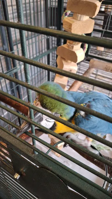 Birds of Paradise Sanctuary & Rescue Picture 7