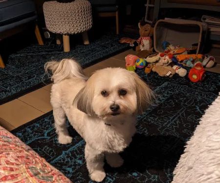 Assonet Animal Hospital