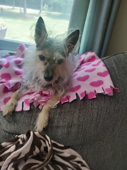 Assonet Animal Hospital Picture 5