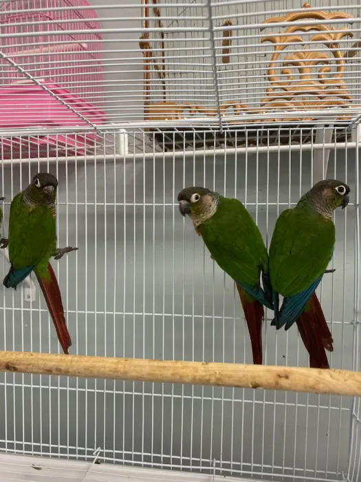 J&M Petshop Picture 2
