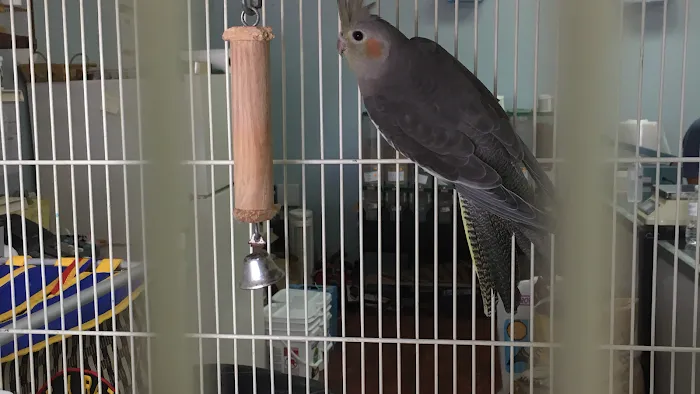J&M Petshop Picture 3