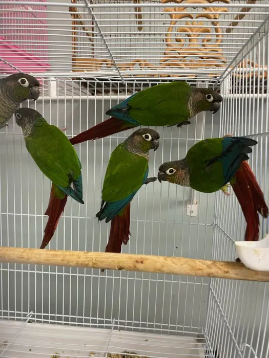 J&M Petshop Picture 6
