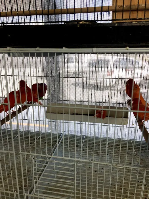 J&M Petshop Picture 4