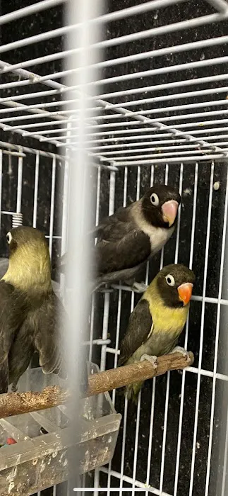 J&M Petshop Picture 7