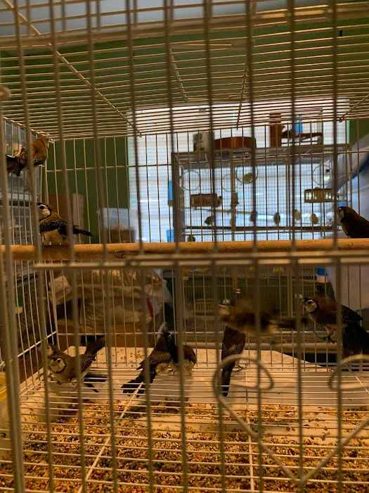 J&M Petshop Picture 8