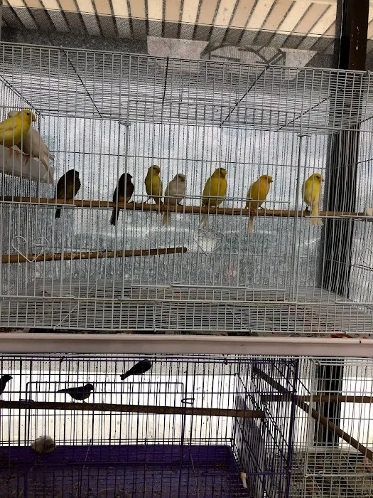 J&M Petshop Picture 10